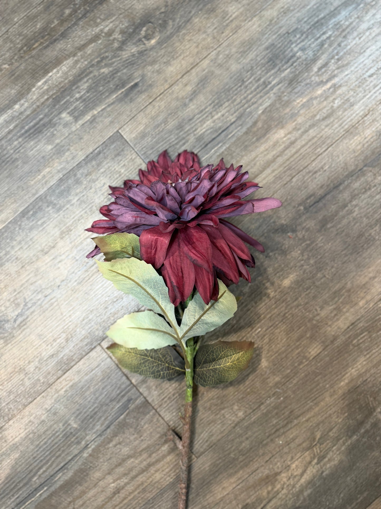 Seidenblume Dahlie XXL Pflaume