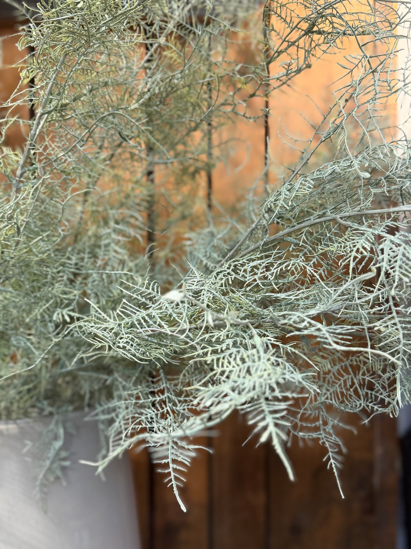 Seidenblume/Kunstblume Farnzweig