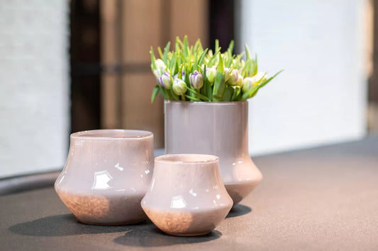 DutZ Pot Bara in Mauve