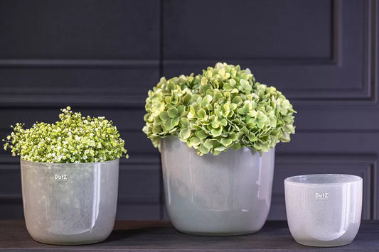 DutZ Pot Wide in Lightgrey  drei Größen