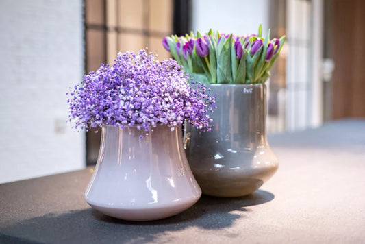 DutZ Pot Radu in Mauve