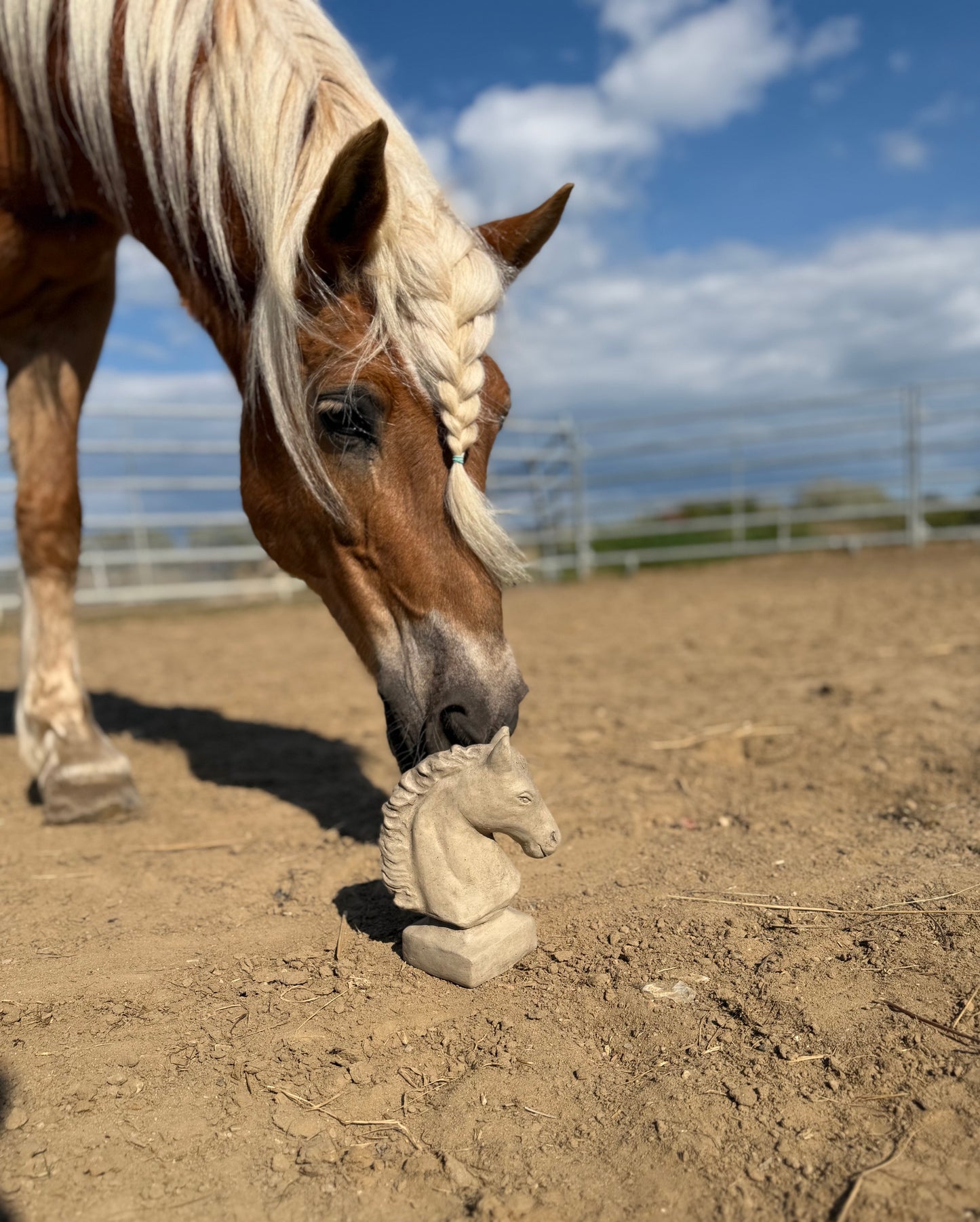 Gartenkunst Trakehner Bernadotte 🐴