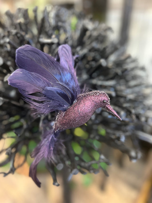 Kolibri