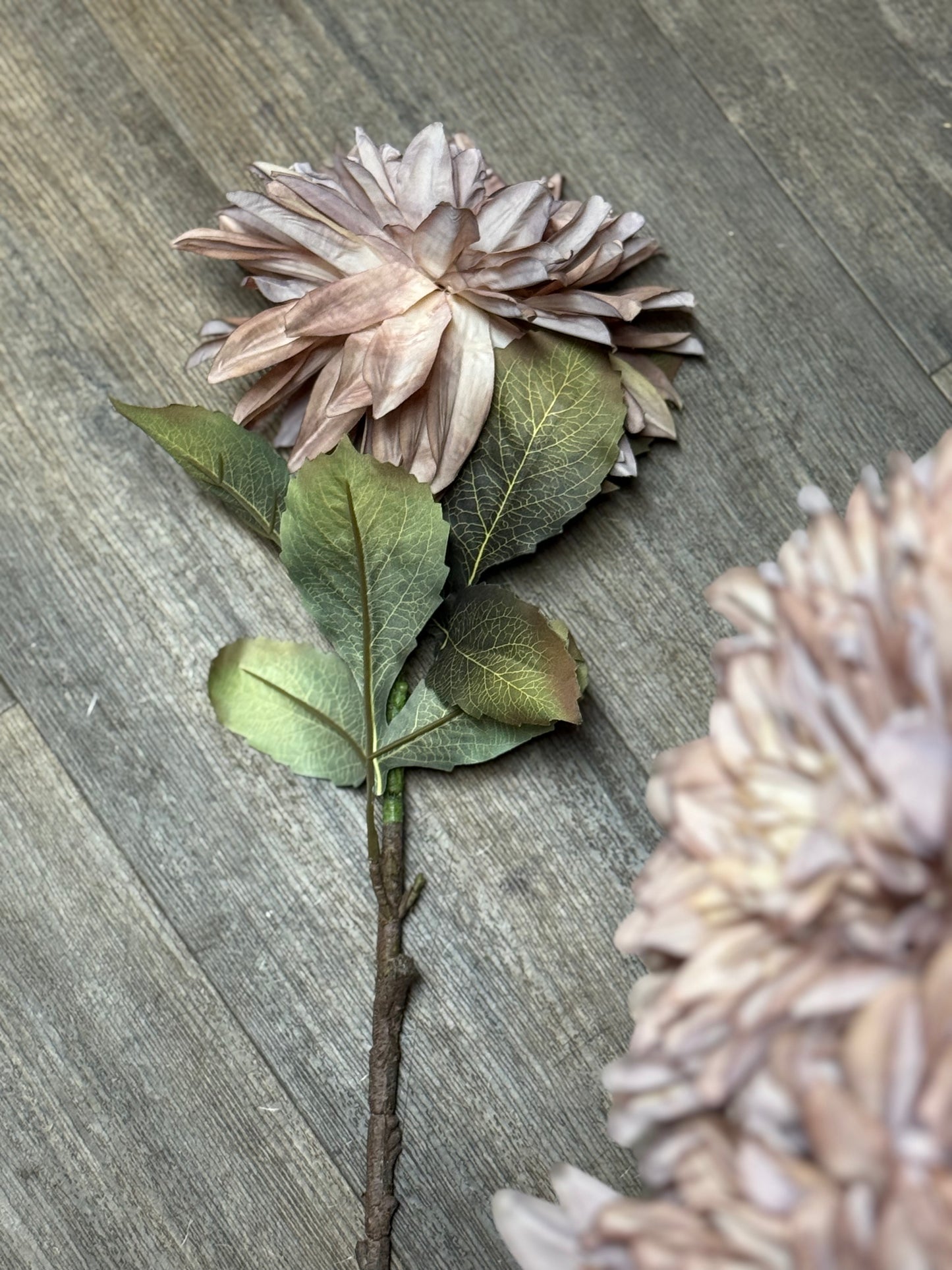 Seidenblume Dahlie XXL Blüte