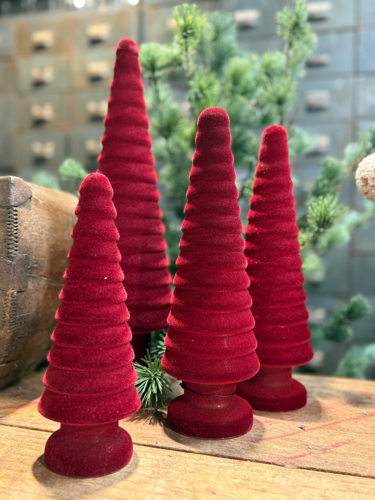 Tannenbaum Samt M