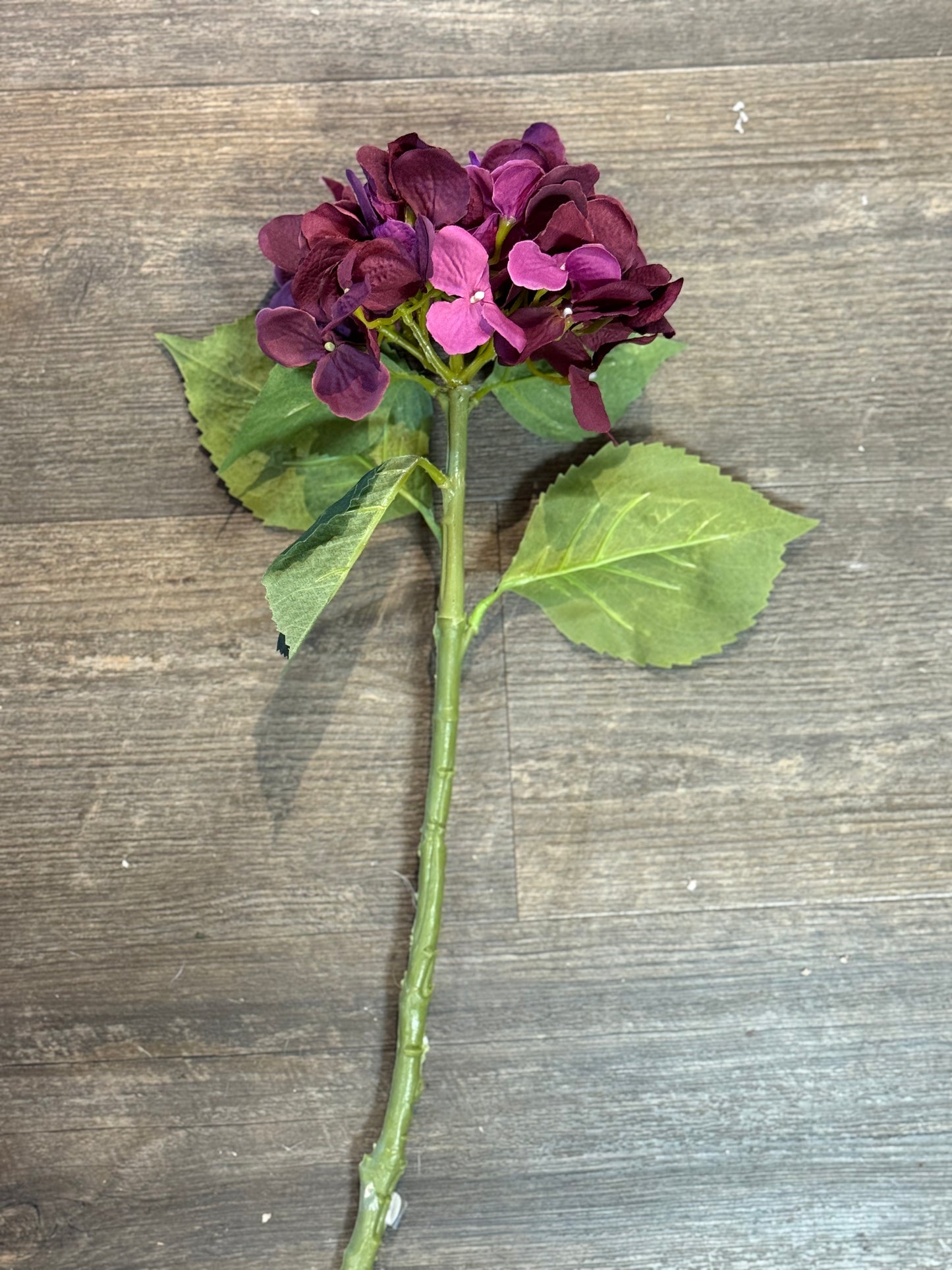 Seidenblume Hortensie Pflaume