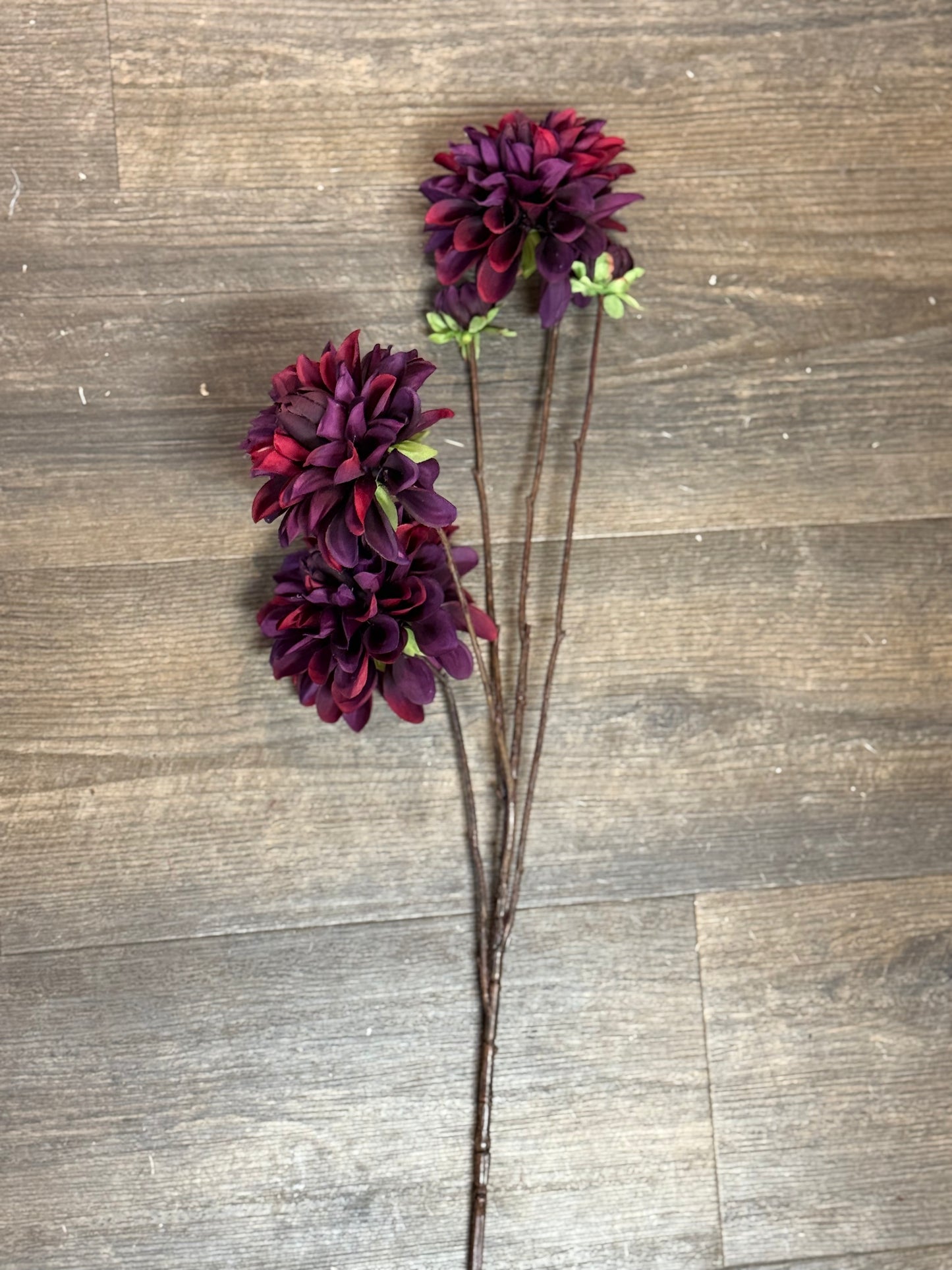 Seidenblume Dahlie 3 Blüten