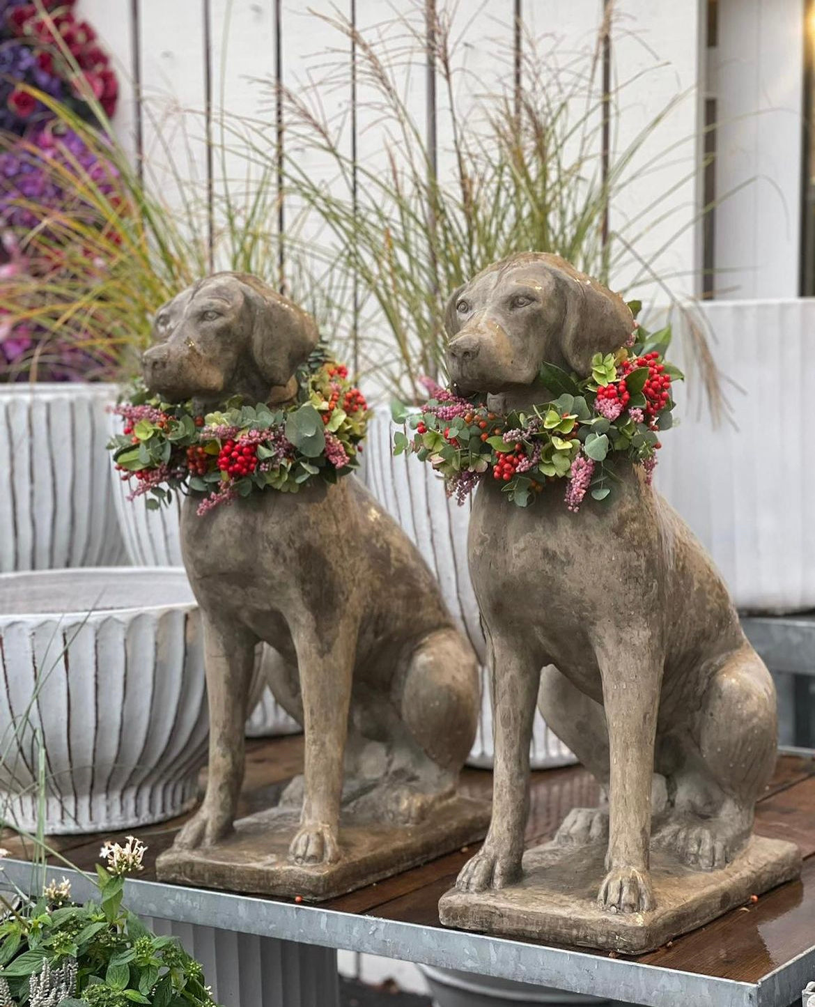 Hund "Pointer" vom Atelier SirWilliam