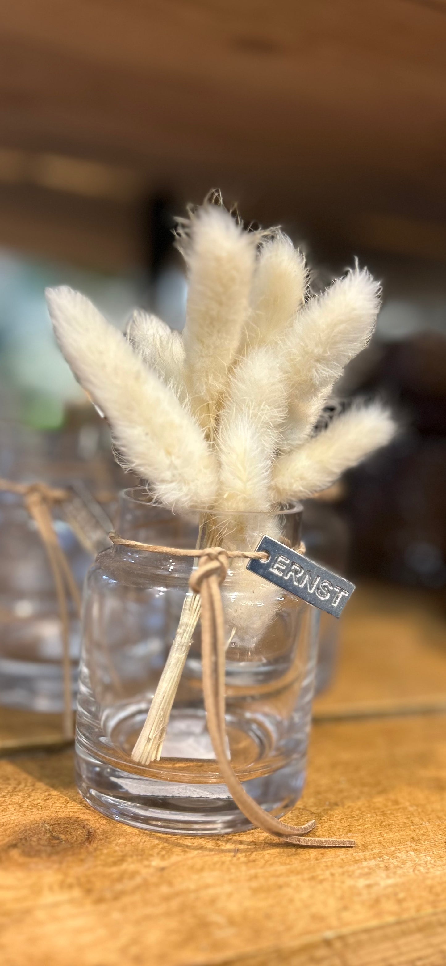 Minibund Lagurus "Hasenpfötchen"
