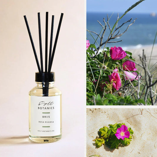 Sylt Botanics Raumdiffuser Rosa Rugosa