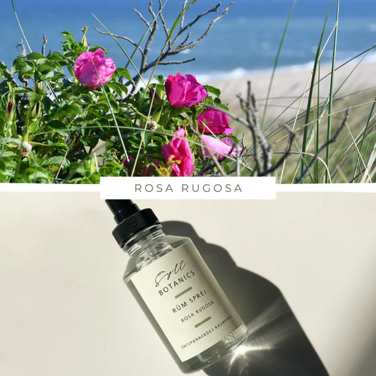 Sylt Botanics Raumspray Rosa Rugosa