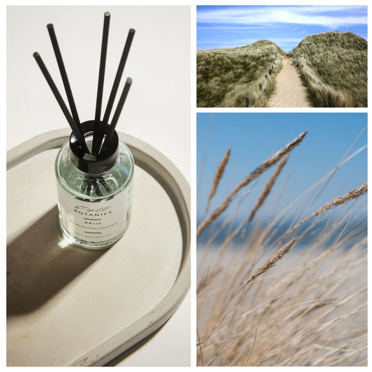 Sylt Botanics Raumdiffuser Dünenspaziergang