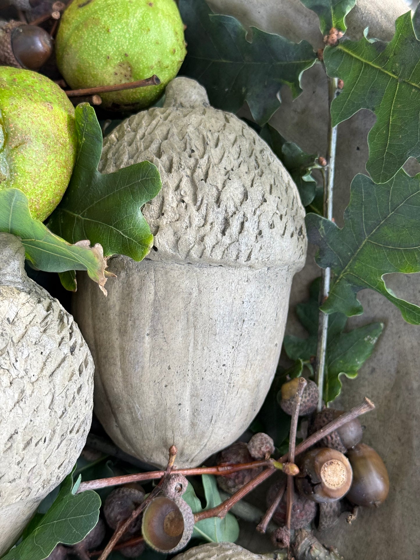 Gartenkunst Eichel in zwei Größen