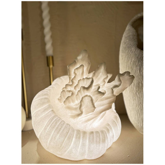 Tischlampe Qualle