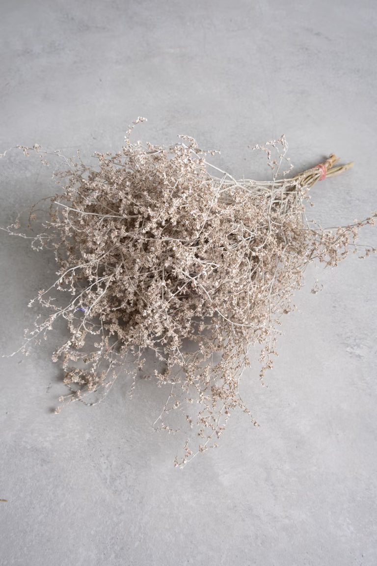 Bund getrockneter Limonium weiß