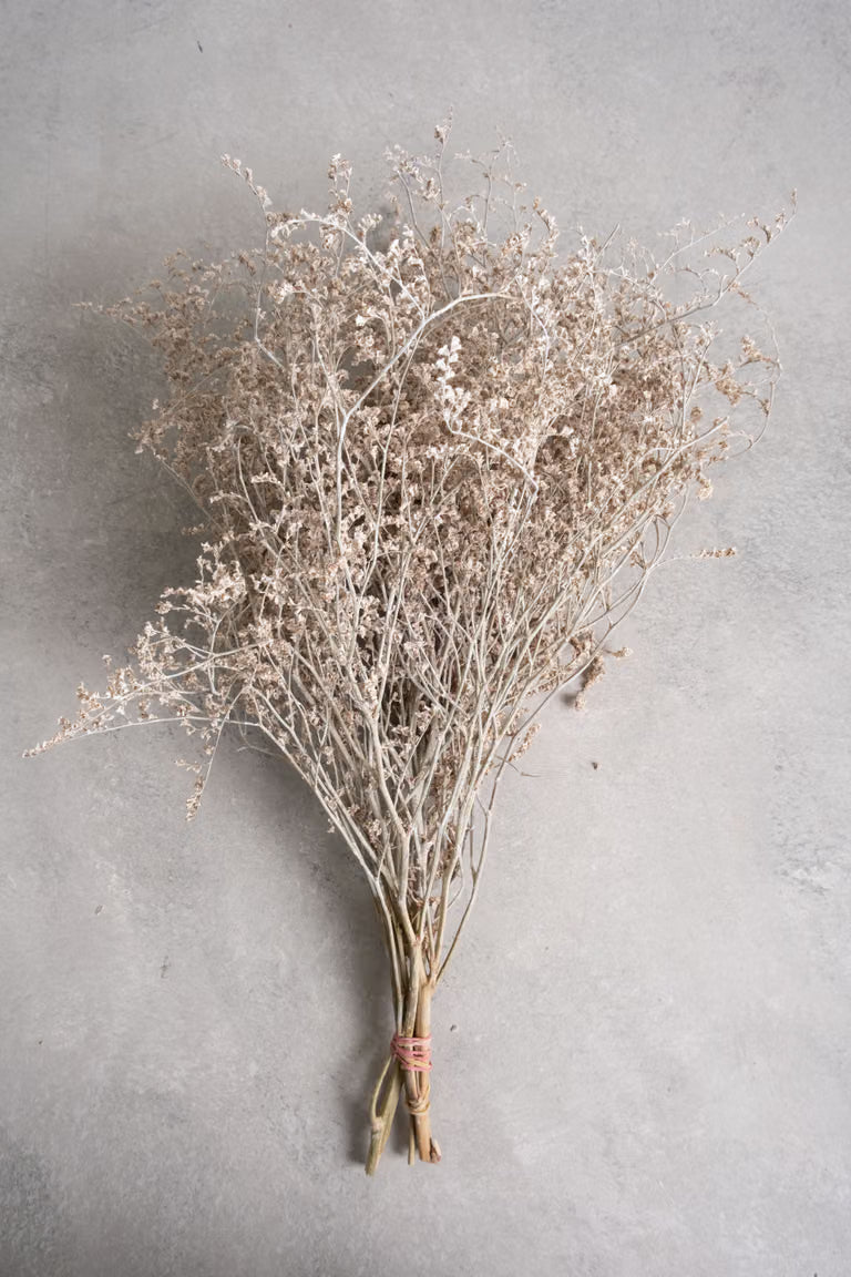 Bund getrockneter Limonium weiß