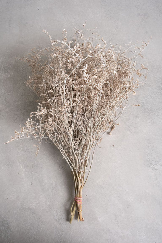 Bund getrockneter Limonium weiß