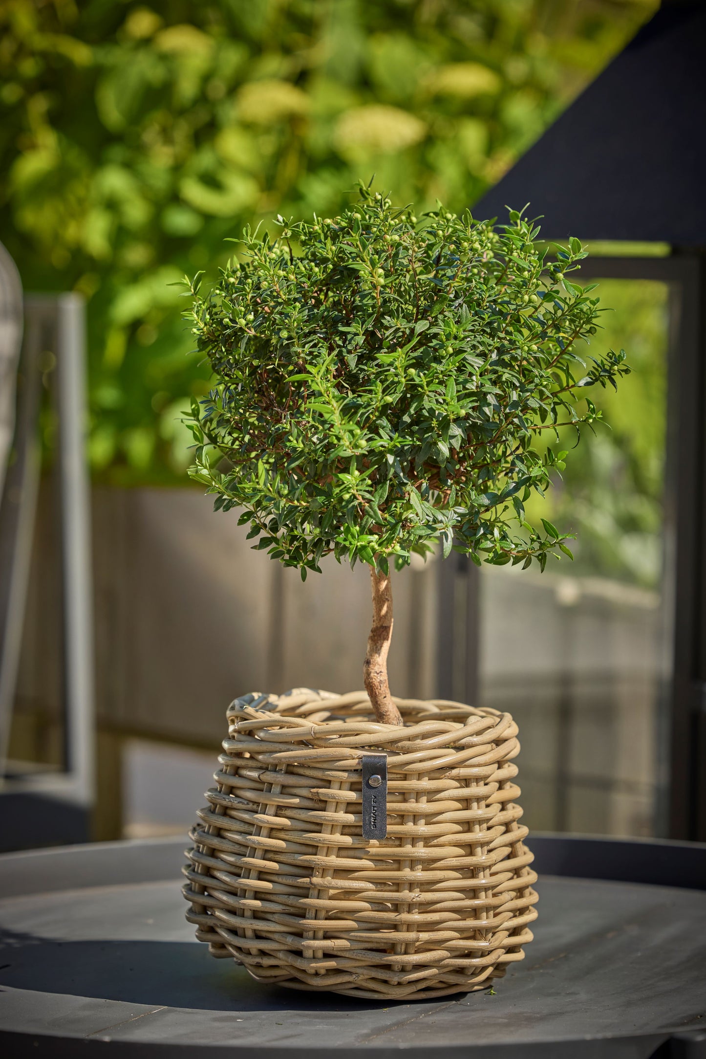 4er Set  Kubu Rattankorb Pear von A2 Living inklusive Versand