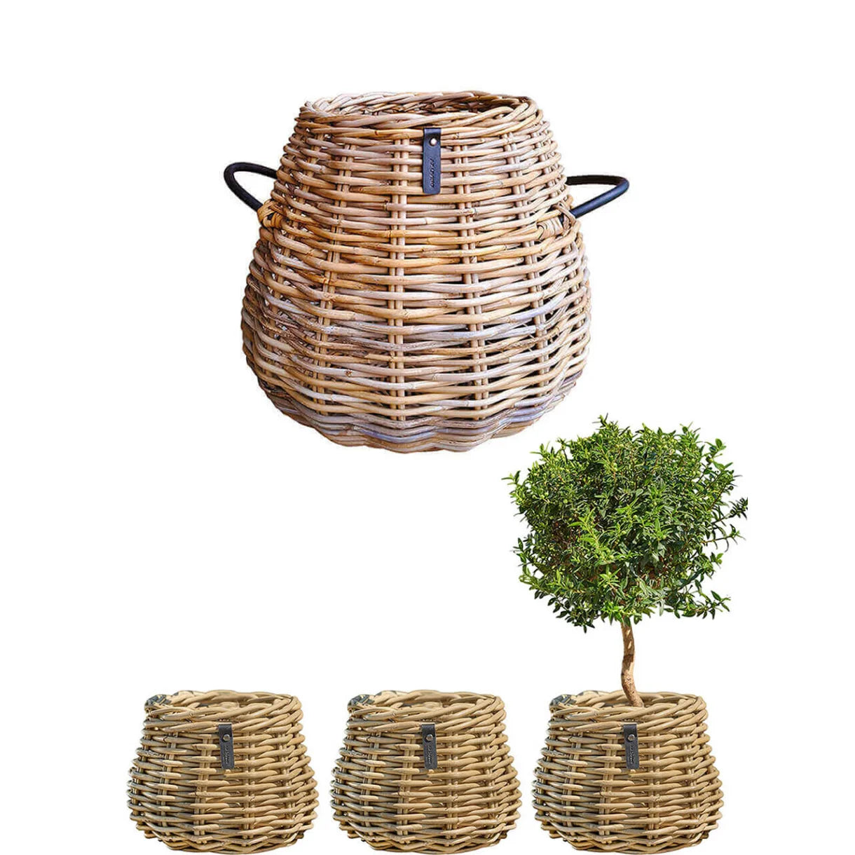 4er Set  Kubu Rattankorb Pear von A2 Living inklusive Versand