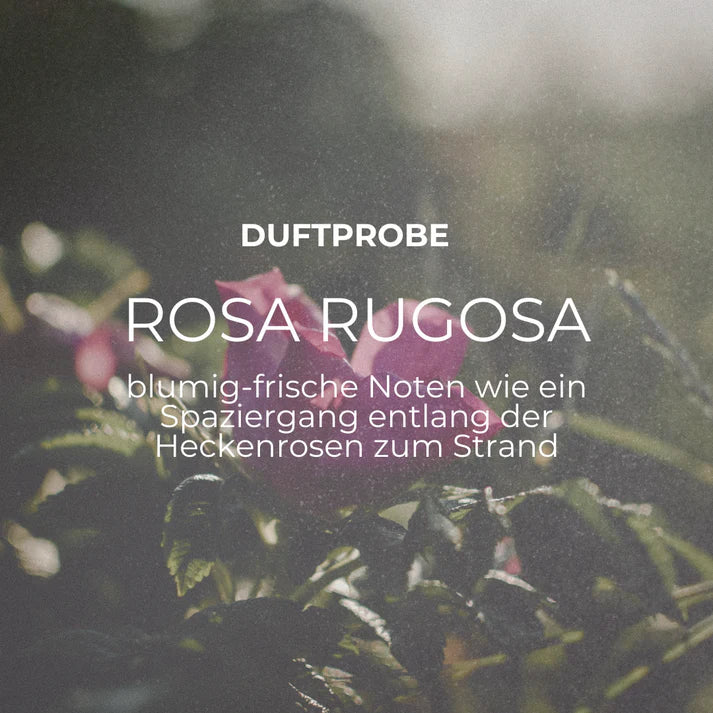 Sylt Botanics Duftproben Set