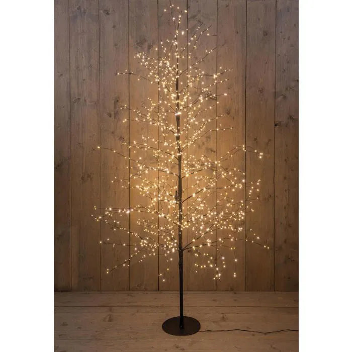 Lichterbaum in zwei Größen