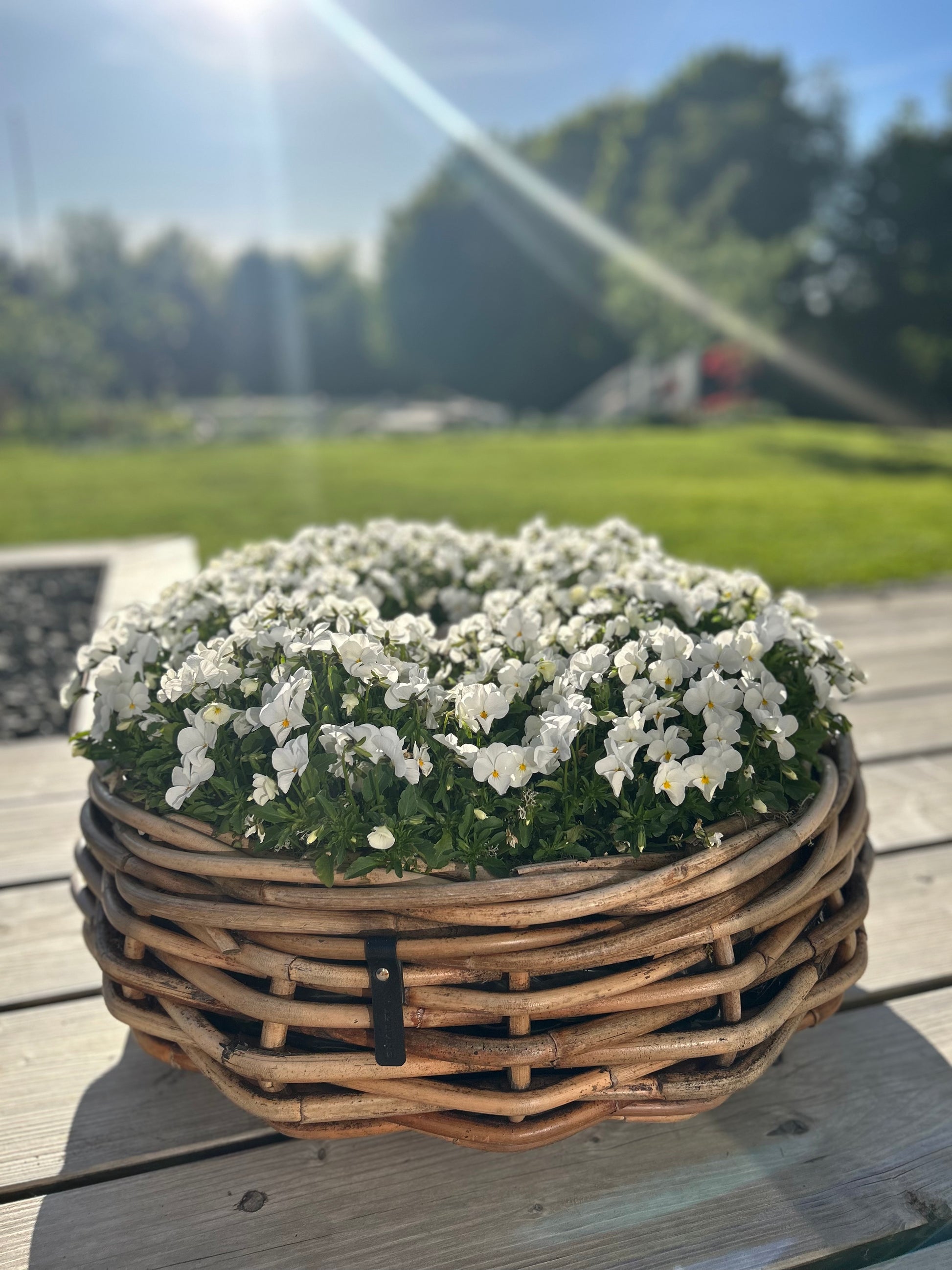 haba zelt blumenkranz A2 MEGA Rattan Korb / Pflanzschale Bowl von A2 Living inklusive Fracht – Blumen Hansen Sylt