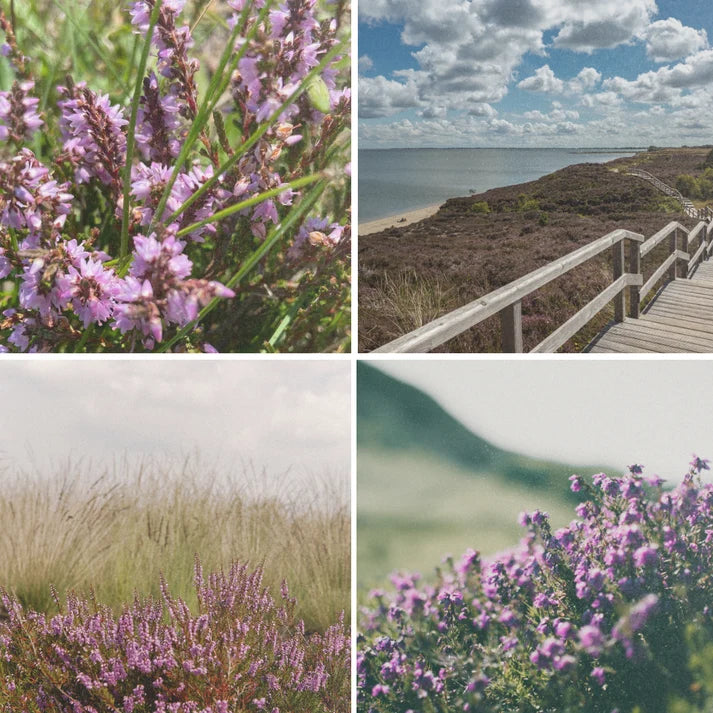 Sylt Botanics Duftkerze Sylter Heide