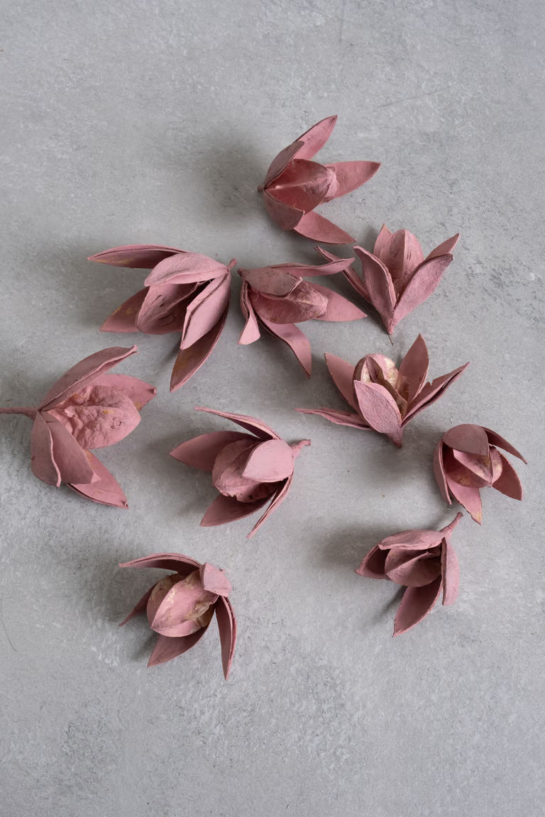 Lilienblüte