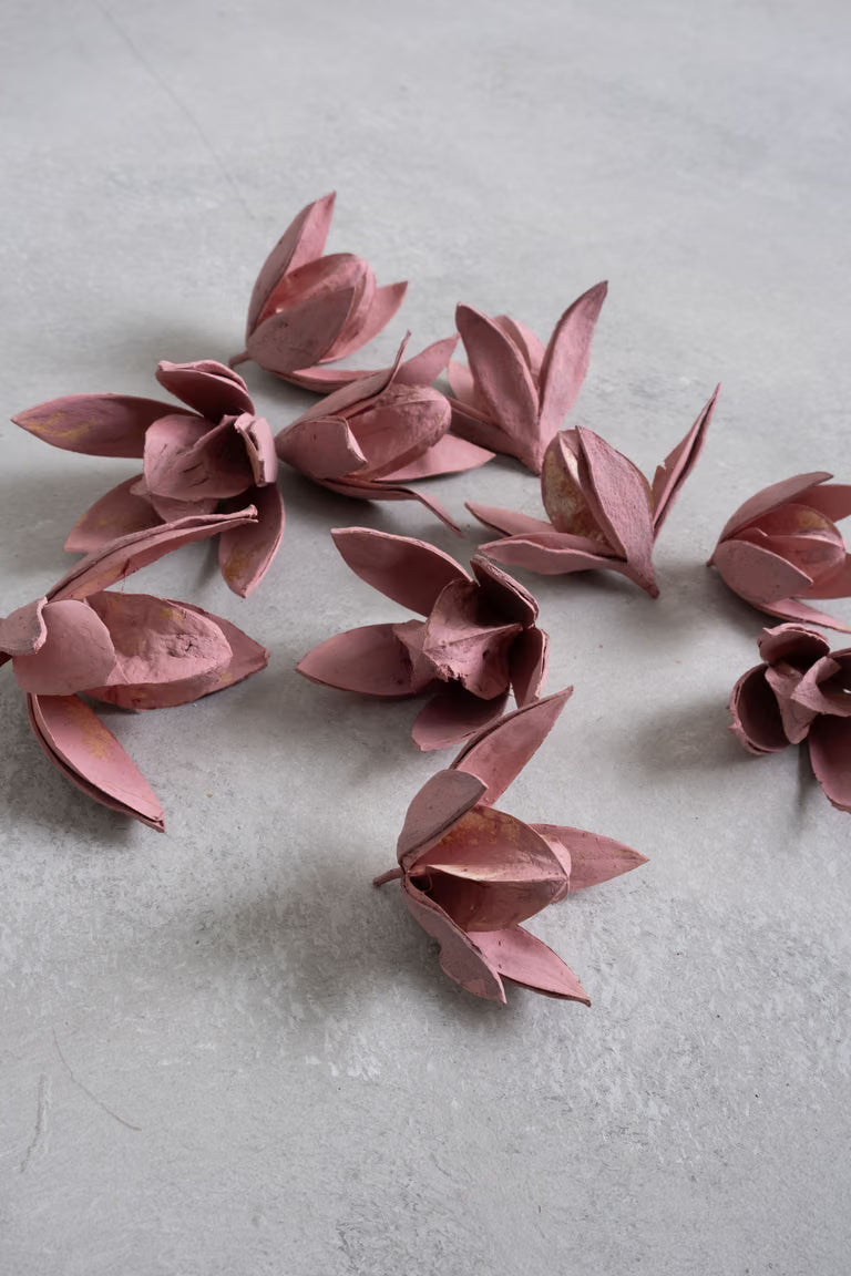 Lilienblüte