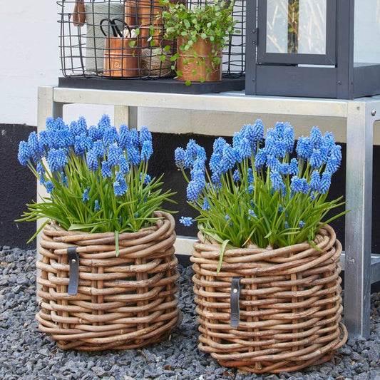 A2 Living Rattan-Korb rund Mini Low