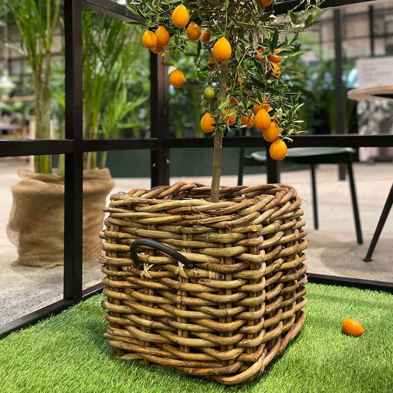 A2 Living Rattan-Korb quadratisch Maxi Low 41×39 cm