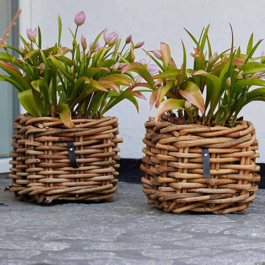 A2 Living Rattan-Korb eckig  Mini Low