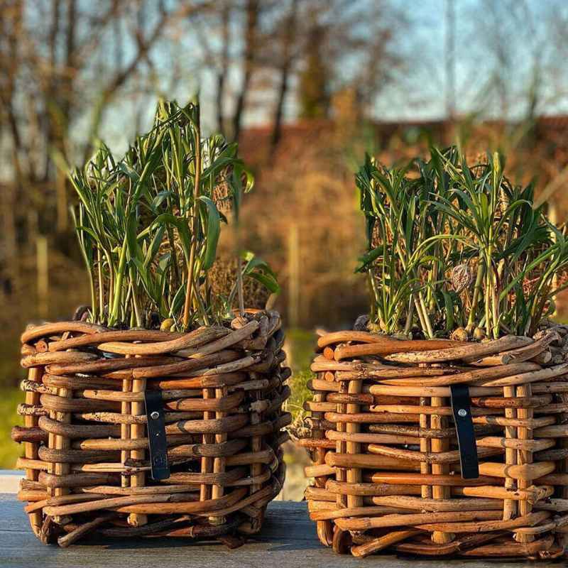 A2 Living Rattan-Korb eckig  Mini Low