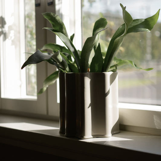 Vase/Übertopf Filter