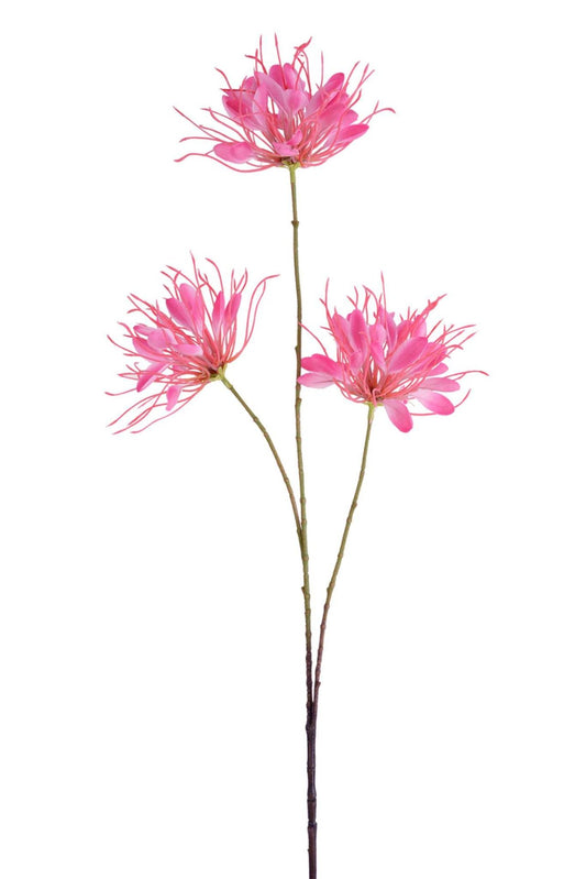 Seidenblumen/Kunstblume  Spider Blütenast