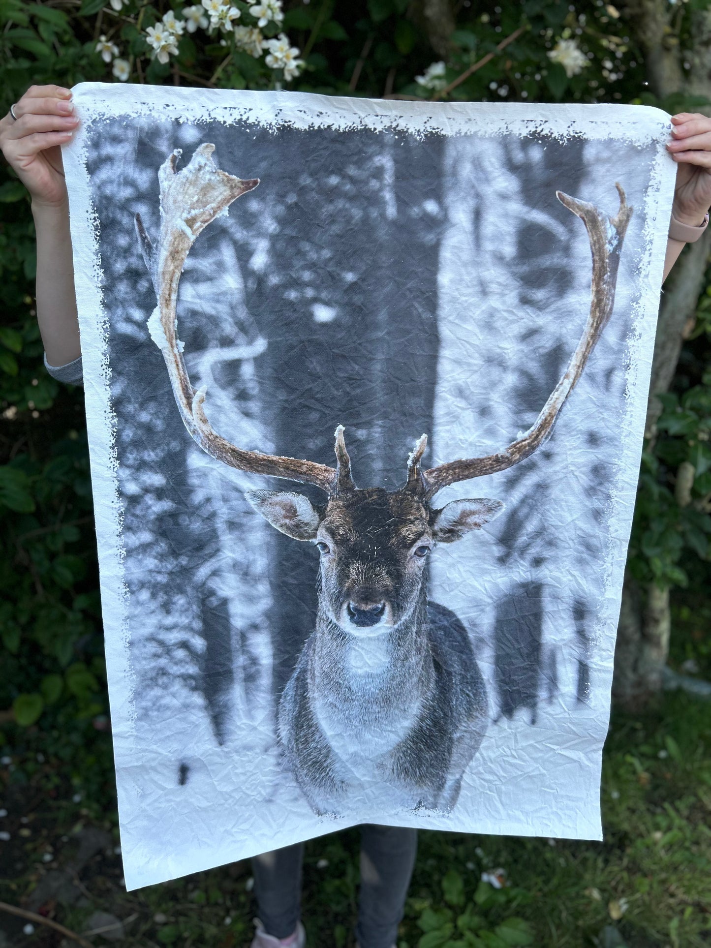 Segeltuch Bilder