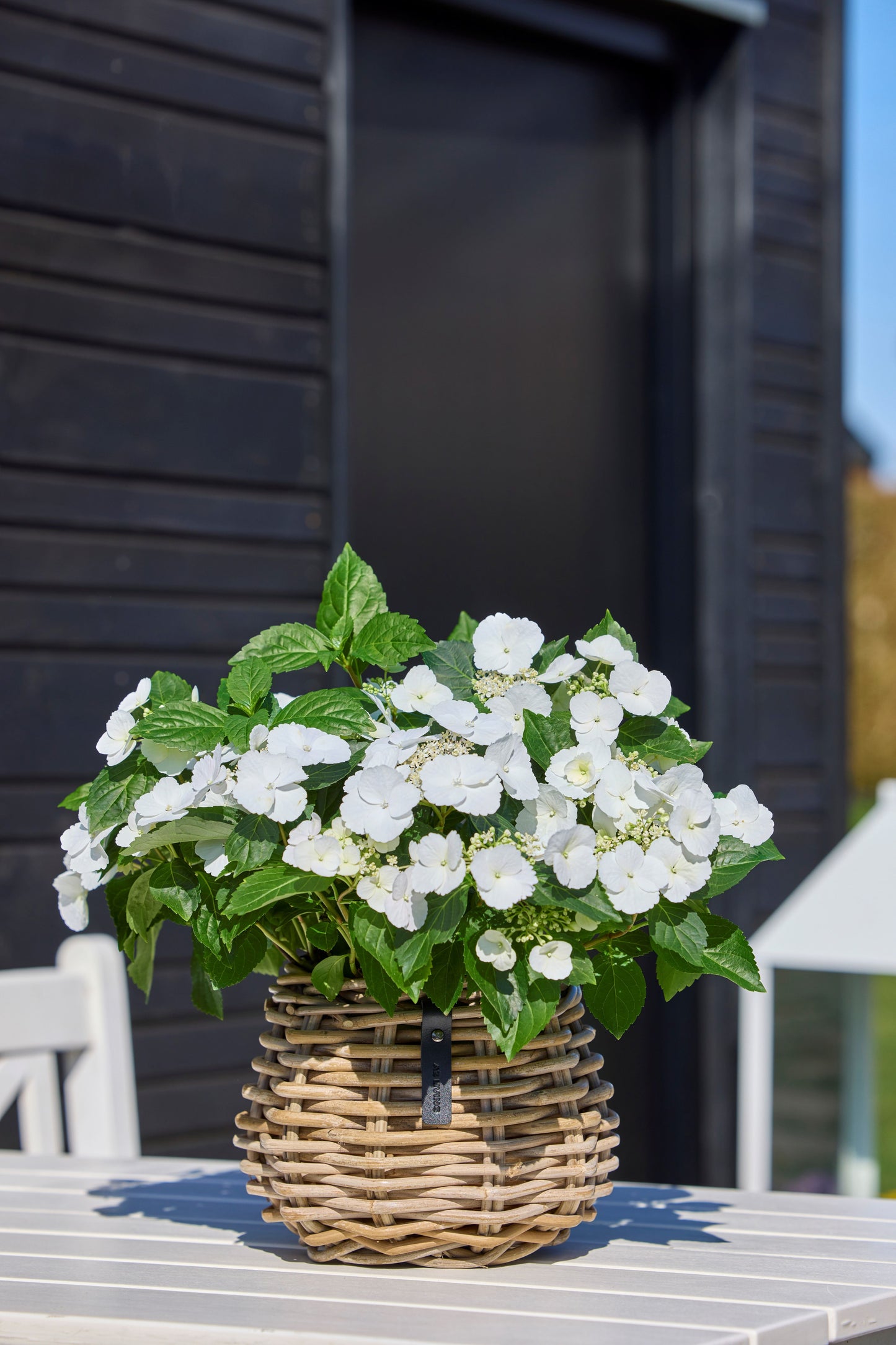 Rattankorb "Birne" von A2Living